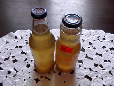 Syrop z kwiatów czarnego bzu
